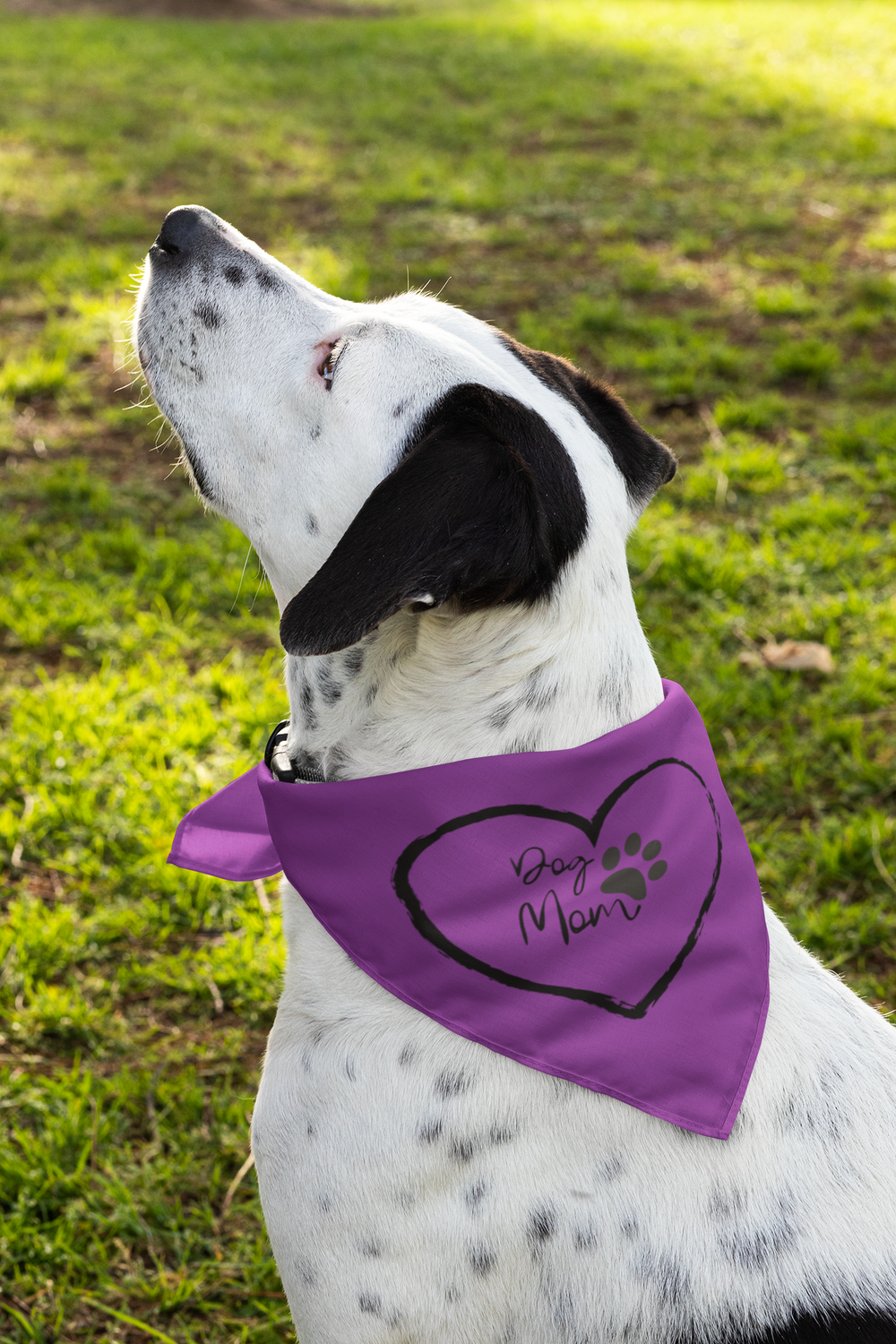 Dog Bandannas